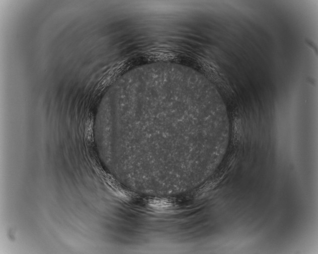 X0000100340177200806261335