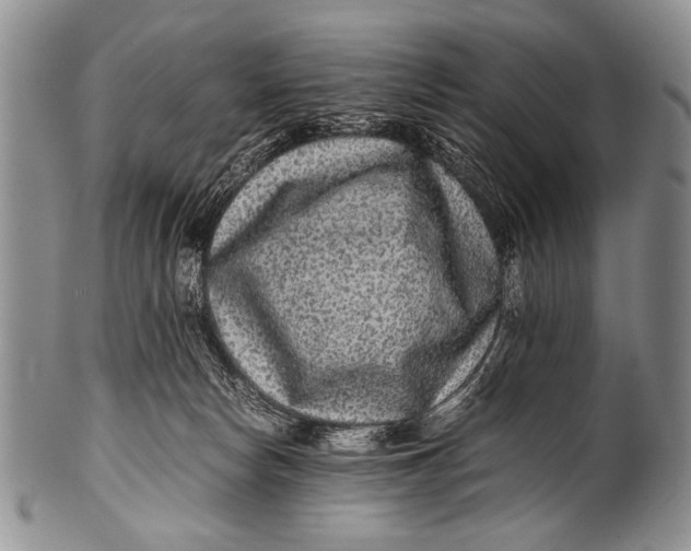 X0000100340178200806261335