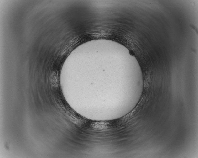 X0000100340179200806261335