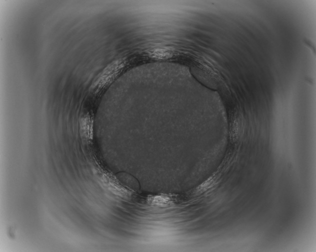 X0000100340180200806261335