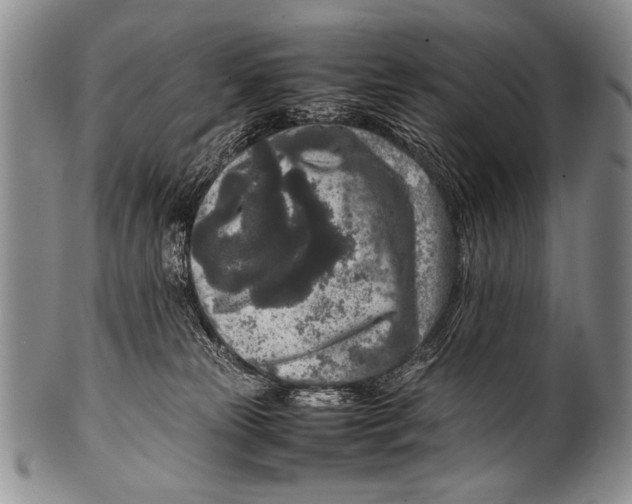 X0000100340181200806261335