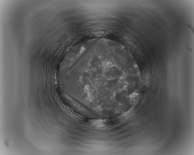 X0000100340182200806261335