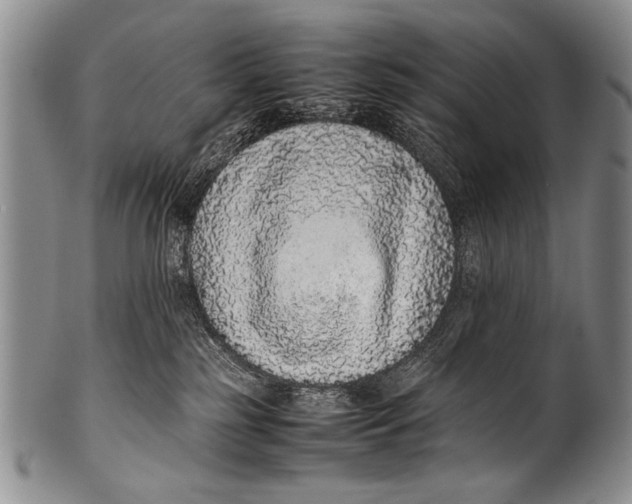 X0000100340185200806261336