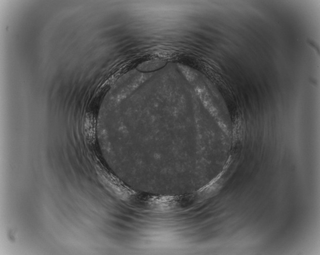 X0000100340186200806261336