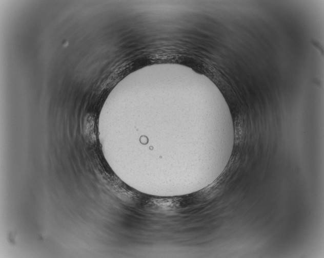 X0000100340187200806261336