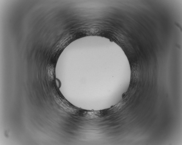 X0000100340188200806261336