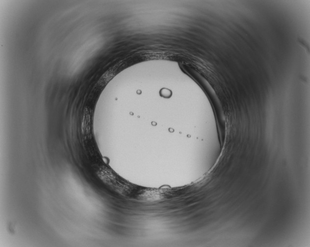 X0000100340190200806261336