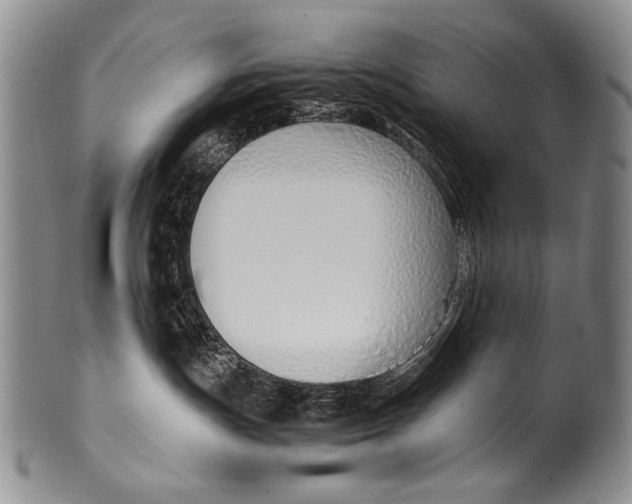 X0000100340191200806261336