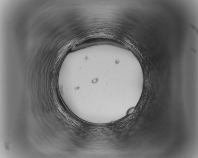 X0000100340193200806261335