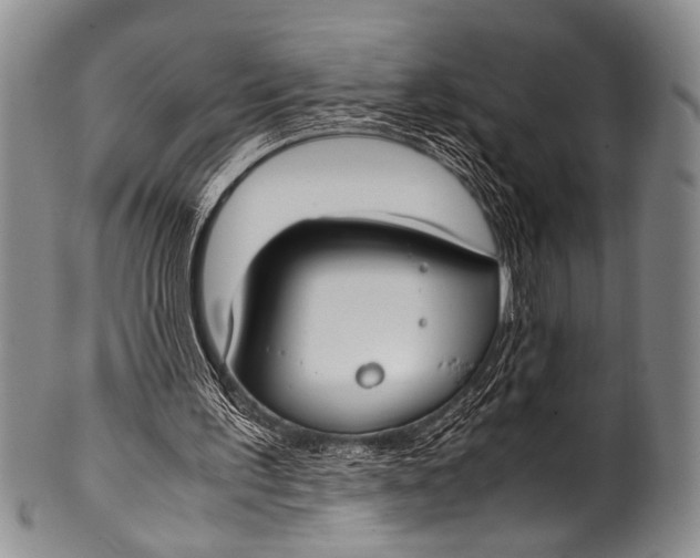 X0000100340195200806261335