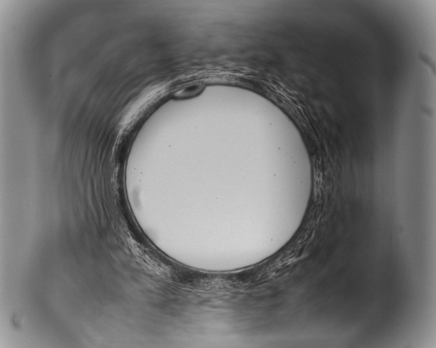 X0000100340197200806261335