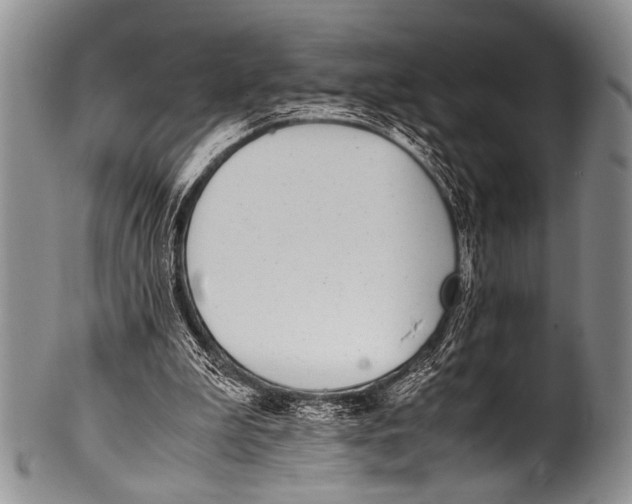 X0000100340199200806261335