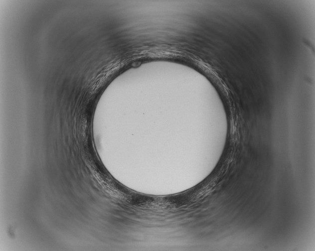 X0000100340201200806261335