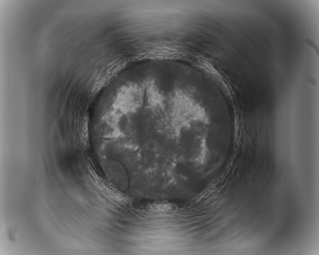 X0000100340202200806261335