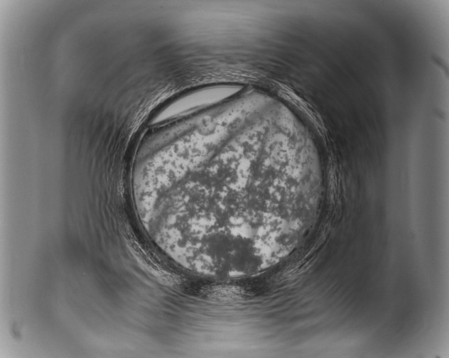 X0000100340203200806261335