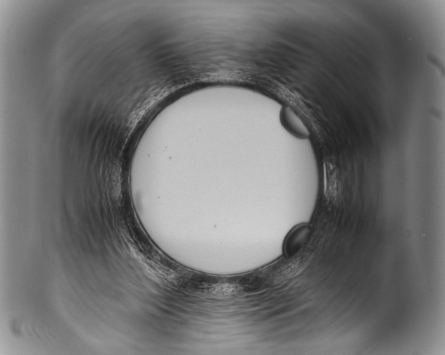 X0000100340204200806261335