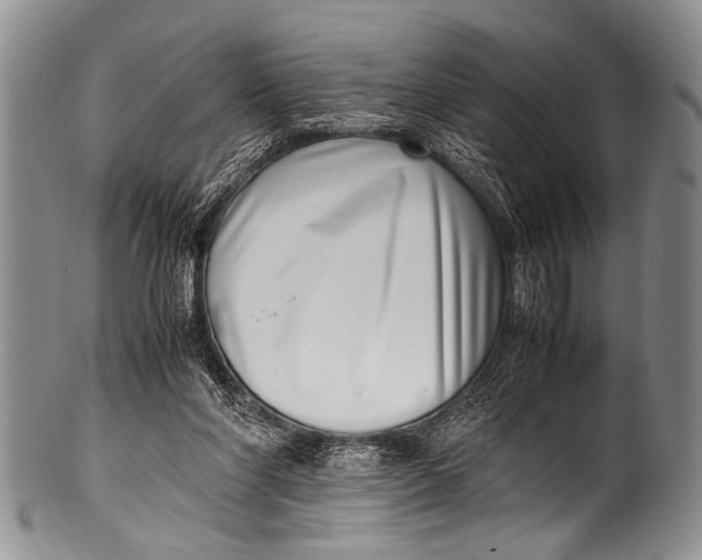 X0000100340206200806261335