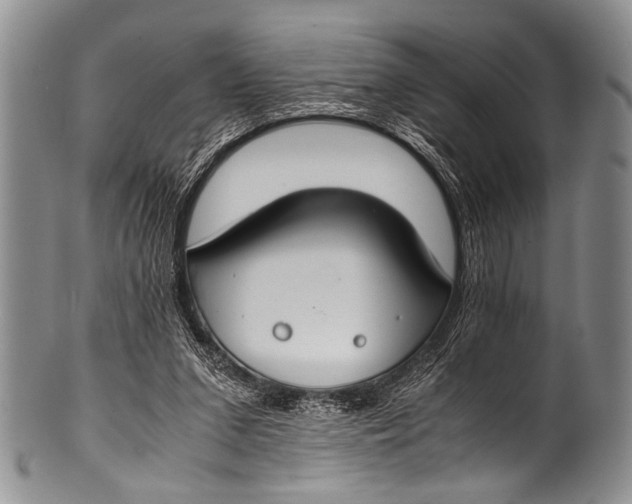 X0000100340207200806261335