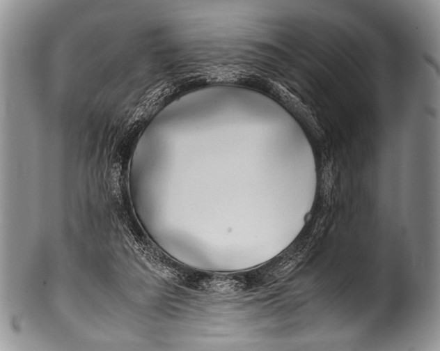 X0000100340209200806261335