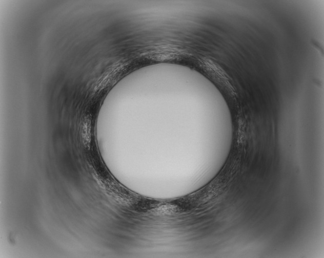 X0000100340210200806261335