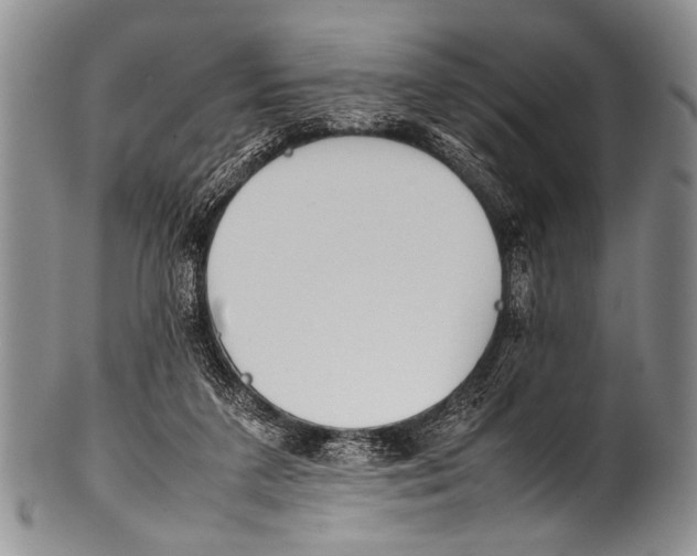 X0000100340211200806261335