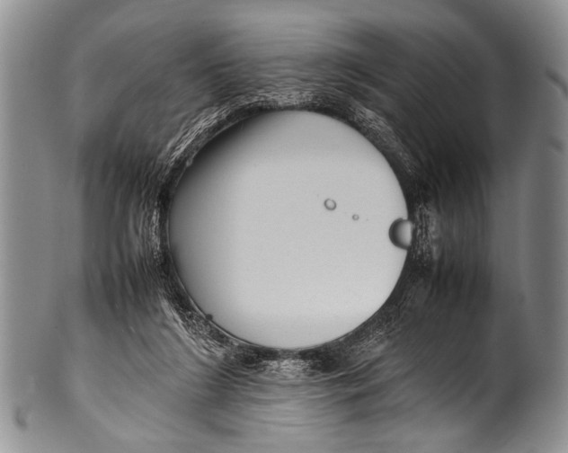 X0000100340212200806261335