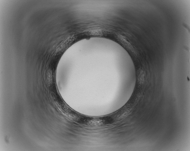 X0000100340213200806261335