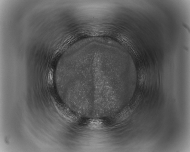 X0000100340214200806261335