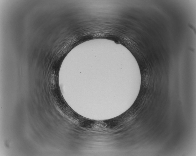 X0000100340215200806261335