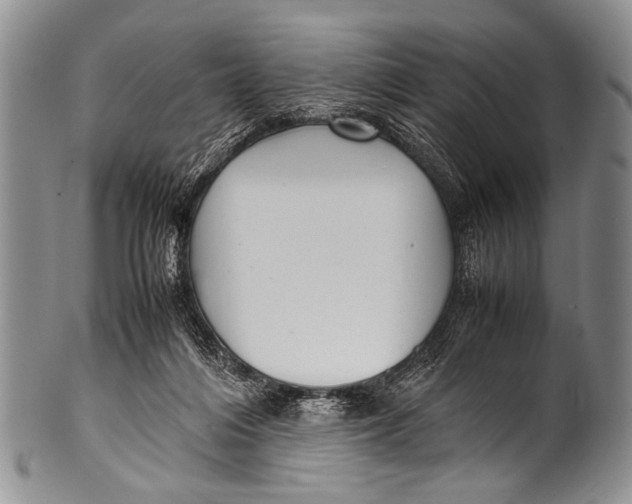 X0000100340216200806261335