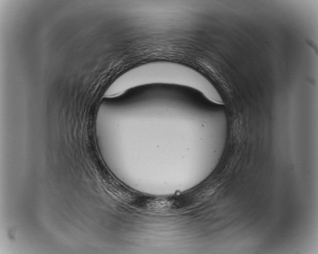 X0000100340217200806261335