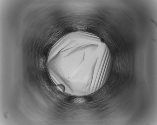 X0000100340218200806261335