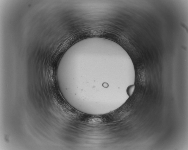 X0000100340220200806261335