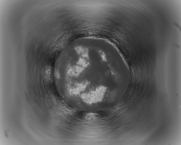 X0000100340222200806261335