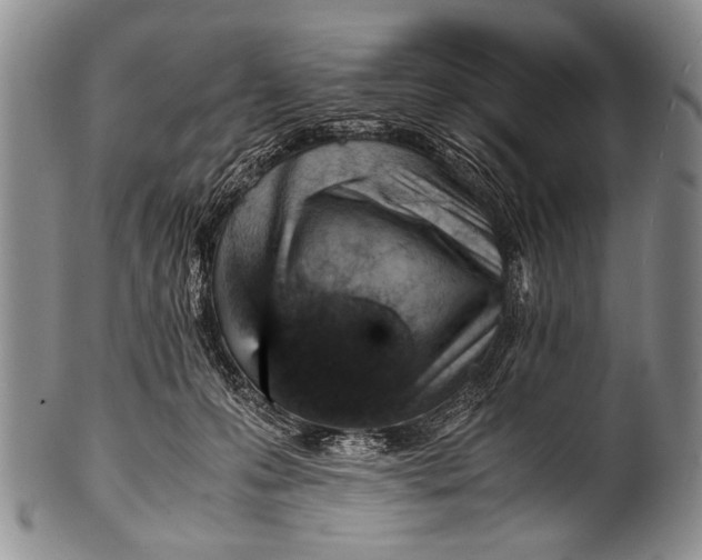 X0000100340223200806261335