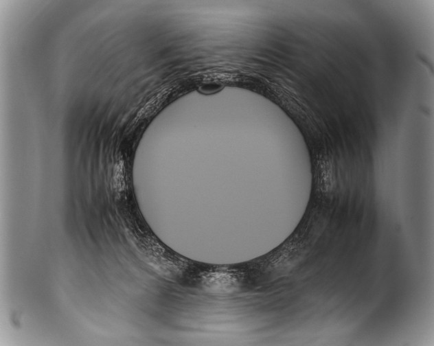 X0000100340224200806261335