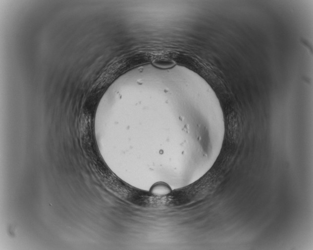 X0000100340225200806261335