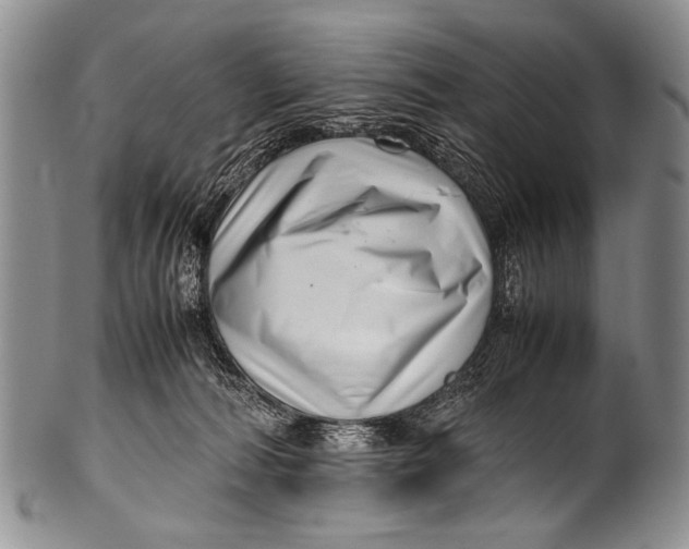 X0000100340226200806261335