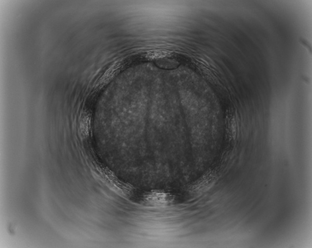 X0000100340227200806261334