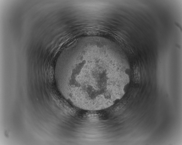 X0000100340228200806261334