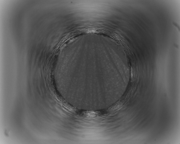 X0000100340229200806261334