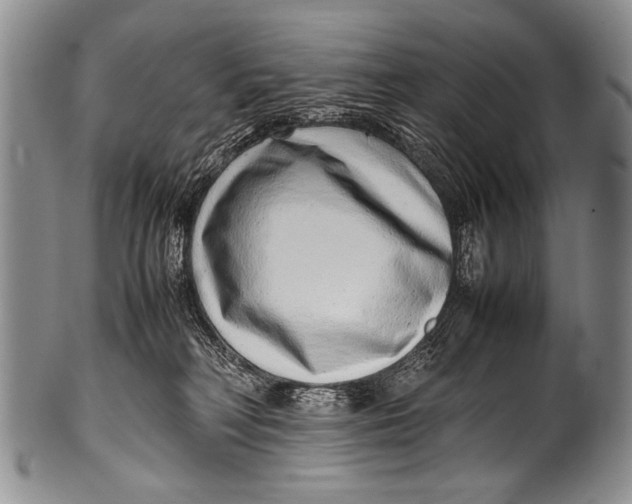 X0000100340230200806261334