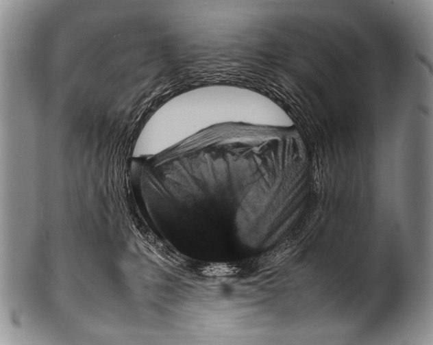 X0000100340231200806261334