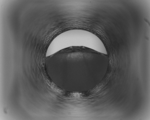 X0000100340233200806261334