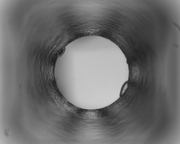 X0000100340236200806261334