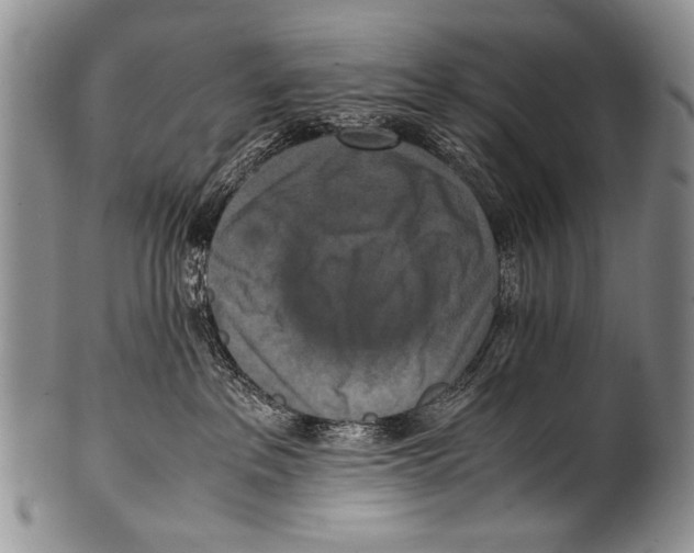 X0000100340237200806261334