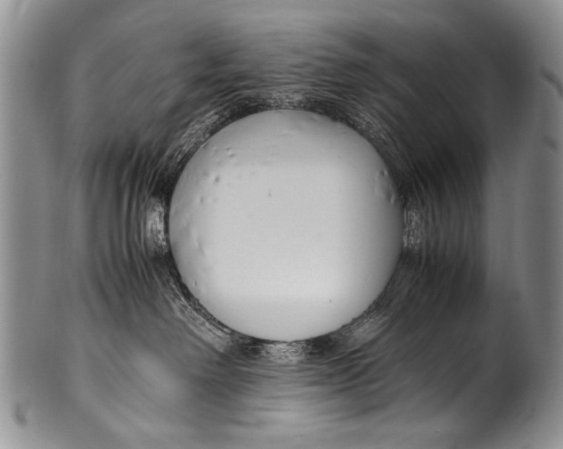 X0000100340238200806261334