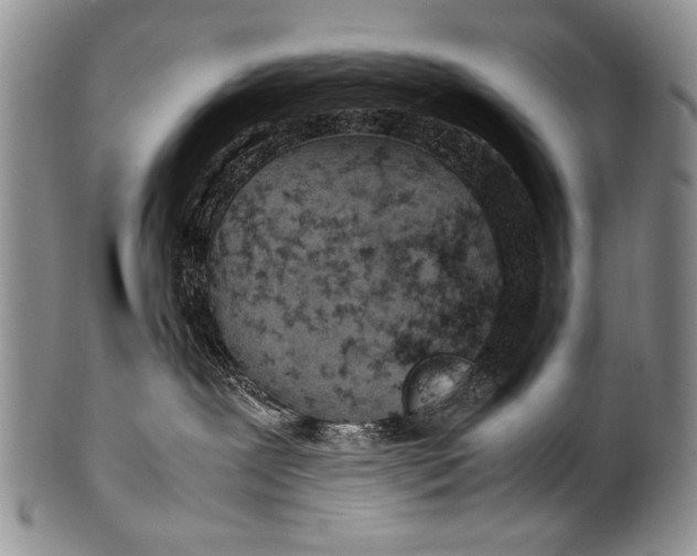 X0000100340239200806261334