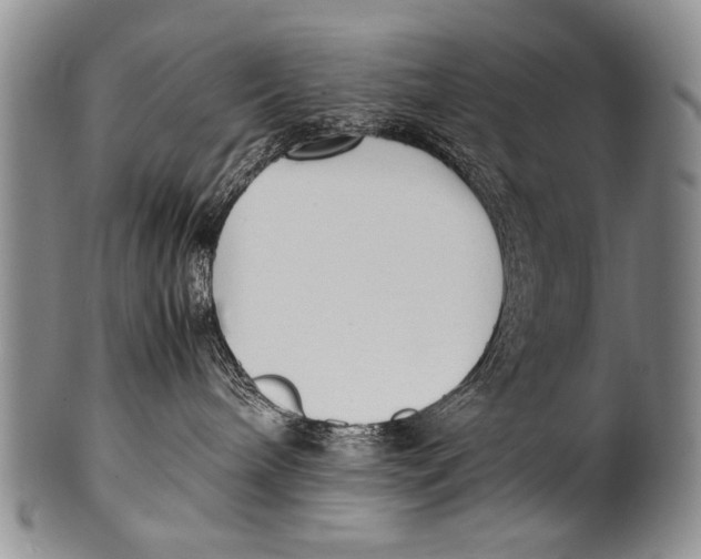 X0000100340240200806261334