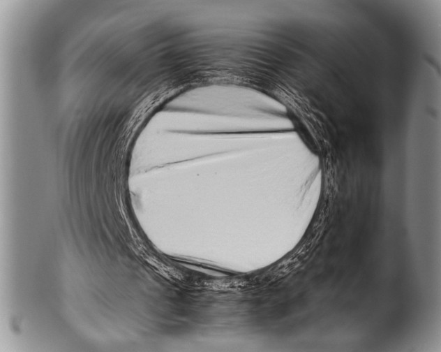 X0000100340241200806261334